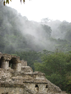 Palenque Mist