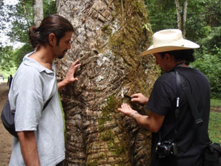 Harvesting Latex in the Rainforest