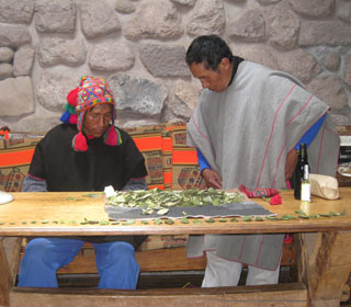 Q'ero friends choosing coca leaves for kintus (prayer)
